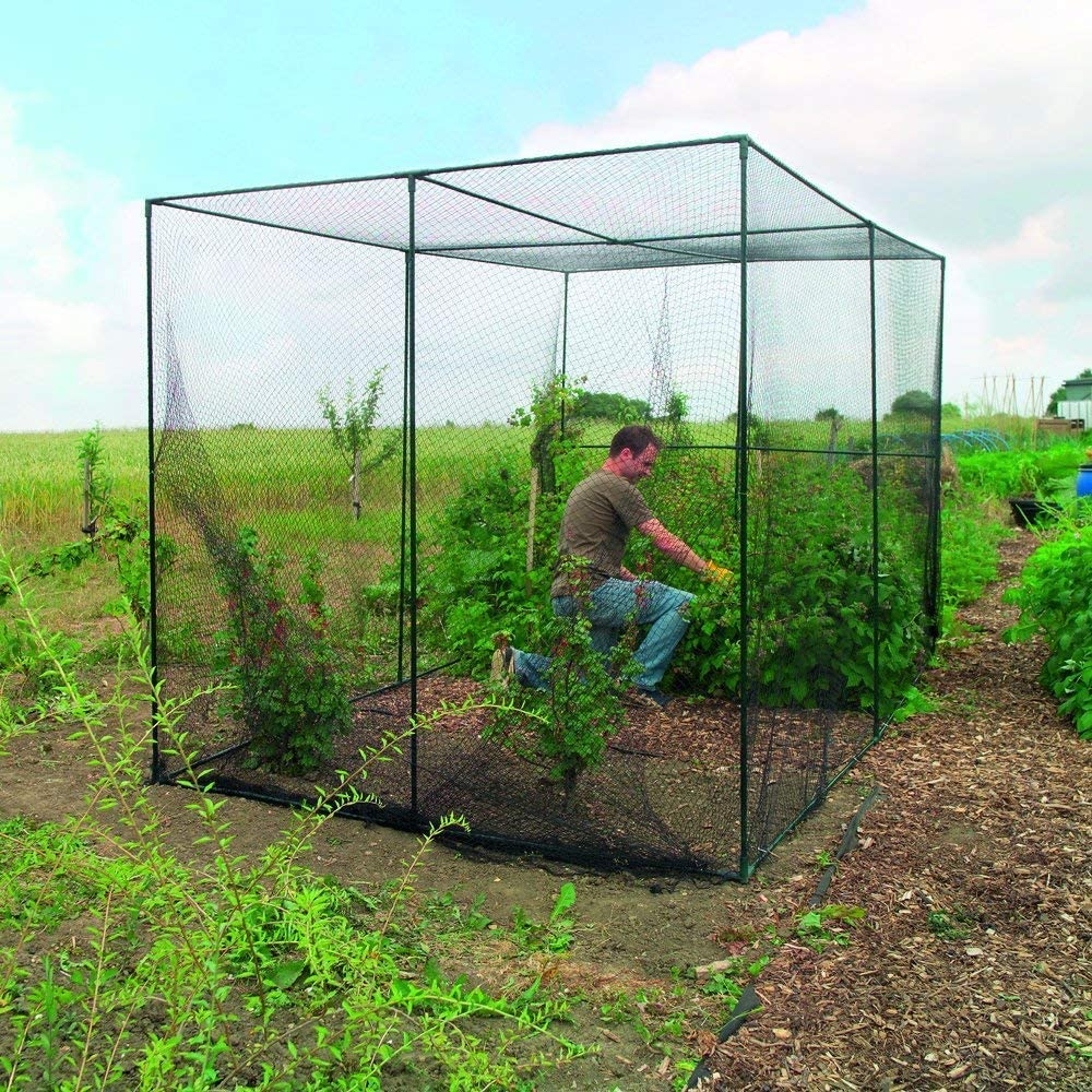 Heavy Duty Black Anti Bird Net - Outdoor Sports Net review and price