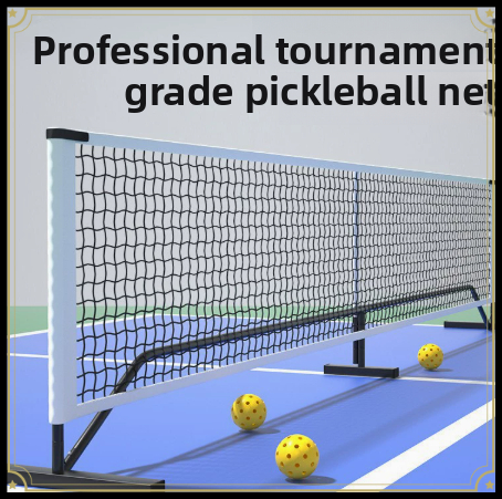 Portable Professional Pickleba - Outdoor Sports Net review and price